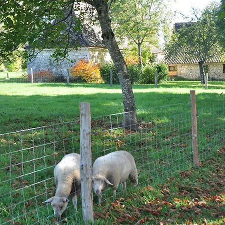 Chateau Le Tour -